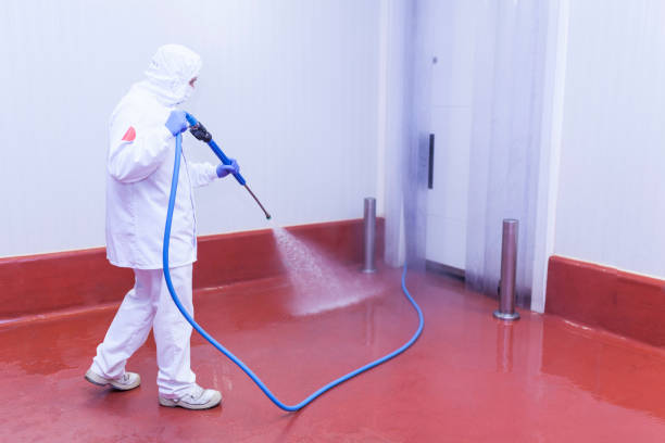 Reliable Burnet, TX Pressure Washing Services Solutions